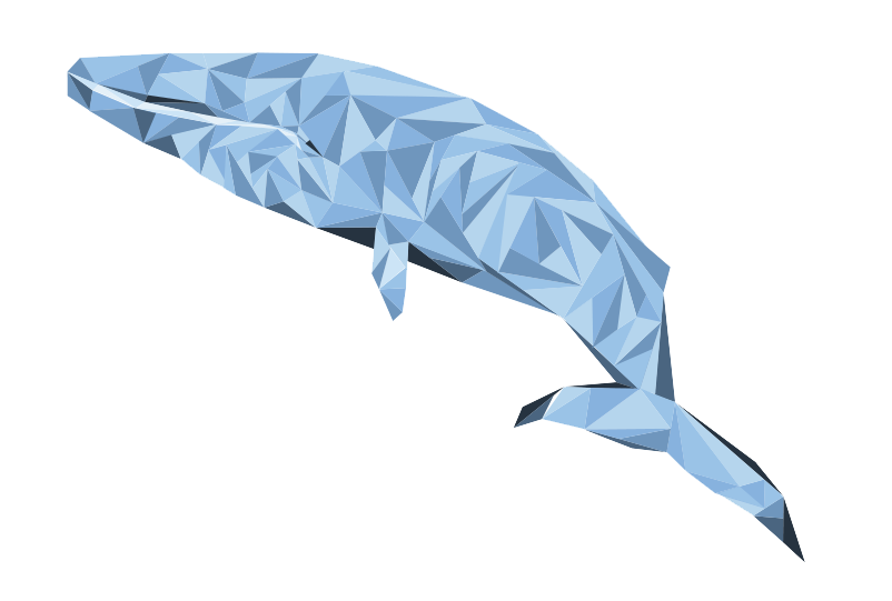 whale
