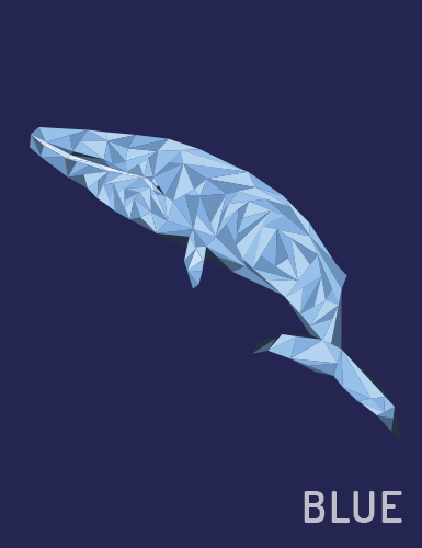 Whale