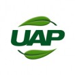 UAP