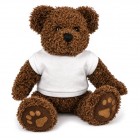 10 inch Charlie Bear and T Shirt 10 inch Charlie Bear and T Shirt