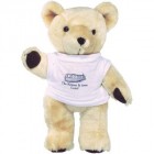 10 inch Honey Bear and T Shirt 10 inch Honey Bear and T Shirt