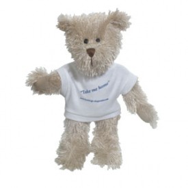 10" Rocky Bear with T Shirt