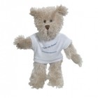 10" Rocky Bear with T Shirt