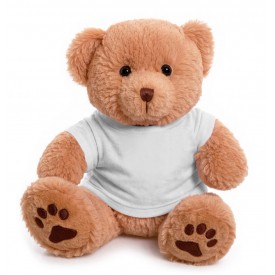 12" Dexter Bear with T Shirt