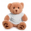 12" Dexter Bear with T Shirt