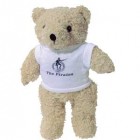 12" Shaggy Bear with T Shirt