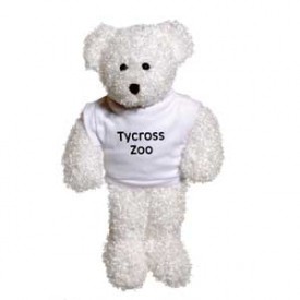 12" Snowy Bear with T Shirt
