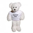 12" Snowy Bear with T Shirt