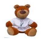 15" Buster Bear with T Shirt