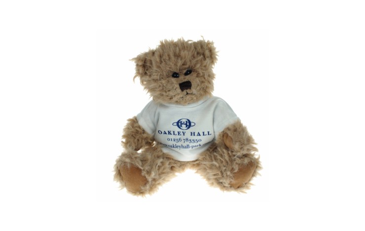 20cm Bambury Bear with T-Shirt