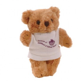 5" Rusty Bear with T Shirt