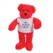 7" Oscar Bear with T Shirt