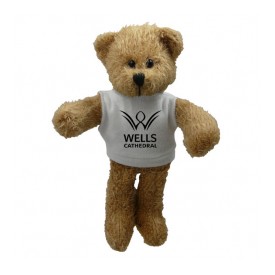 7" Scraggy Bear with T Shirt