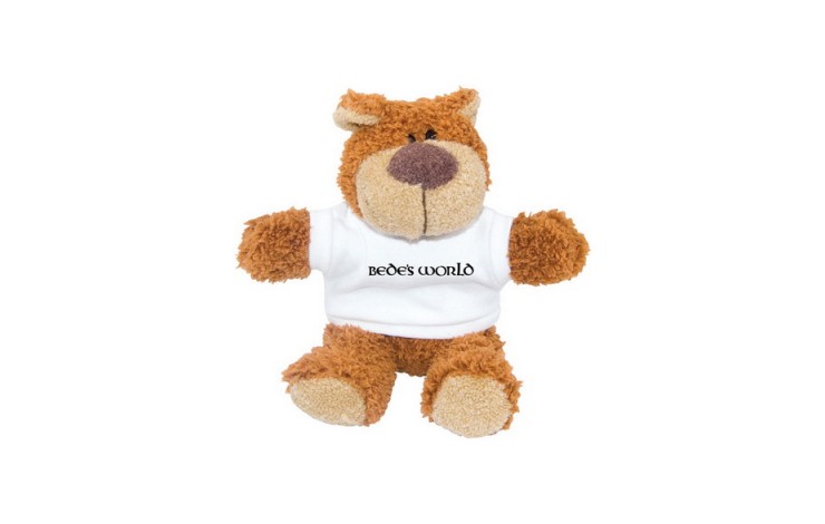 8 inch Buster Bear and T Shirt