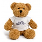 Scraggy Bear and T Shirt Scraggy Bear and T Shirt