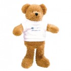 9" Scraggy Bear with T Shirt