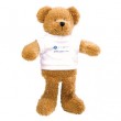 9" Scraggy Bear with T Shirt