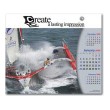 Adventure Sport Calendar