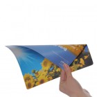 Brite Mat Lite
