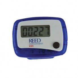 Budget Pedometer