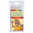 Colouring Pencils