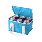 Cooler Bag