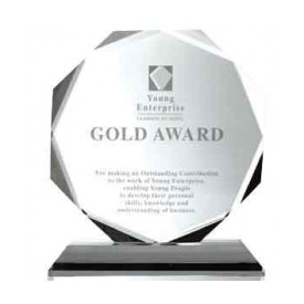 Crystal Octagon Award