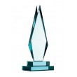Excellence Award