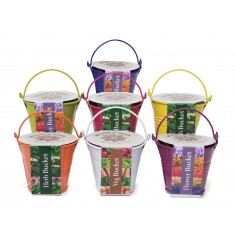 Fisher Coloured Bucket Grow Kit
