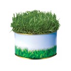 Garden in a Tin