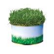 Garden in a Tin