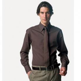 Long Sleeve TENCELÆ Fitted Shirt Long Sleeve TENCELÆ Fitted Shirt