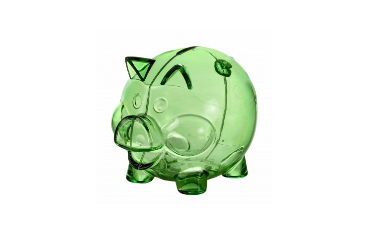 Maxi Piggy Bank