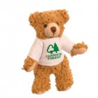 Mini Bear with T Shirt