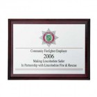 Plaque