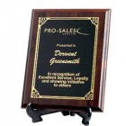 Plaque