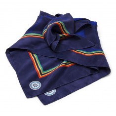 Pure Silk Printed Scarves