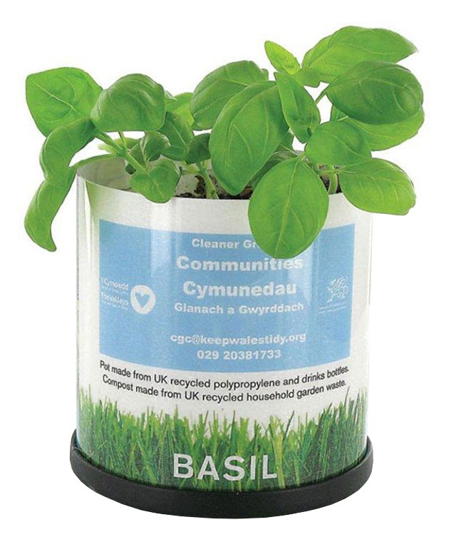 Promotional The Green Tidy Recycled Plant Pot, Personalised by MoJo