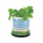 The Green Tidy Recycled Plant Pot