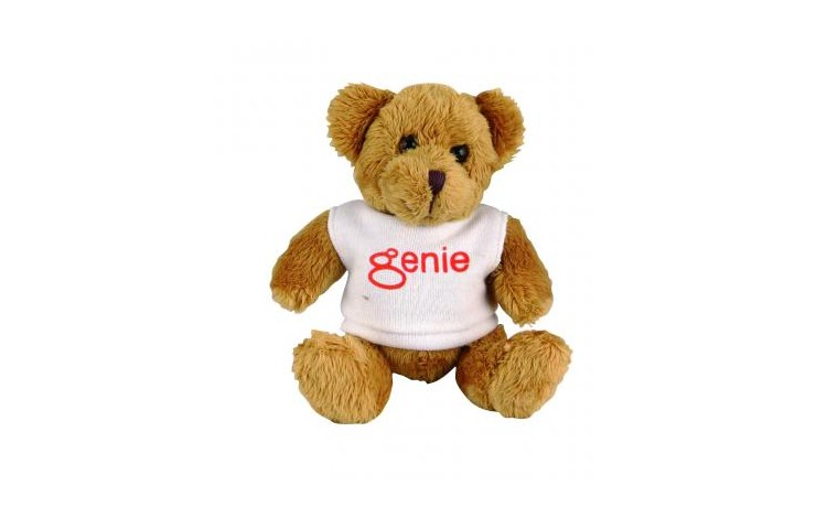 5" Robbie Bear and T Shirt