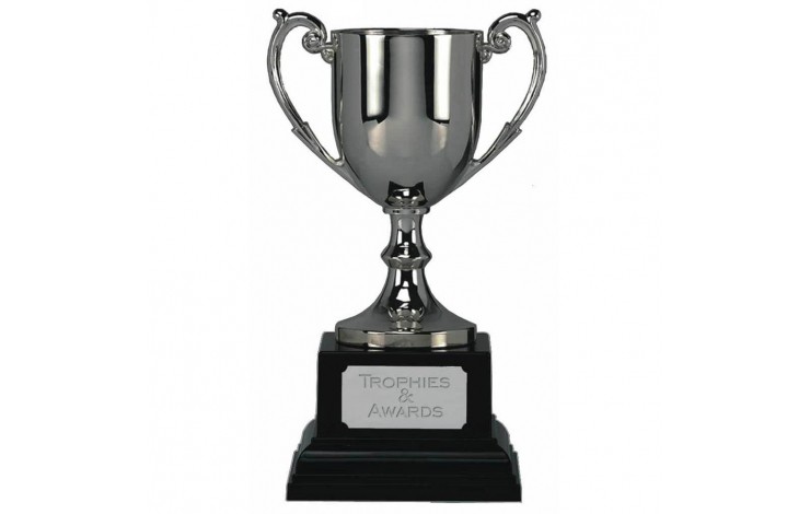 Small Trophy Cup