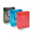 Spectrum Bag - Small