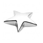Star Paperweight