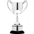 Trophy Cup
