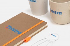 TELSTRA - REBRAND