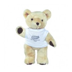 10" Honey Bear with T Shirt
