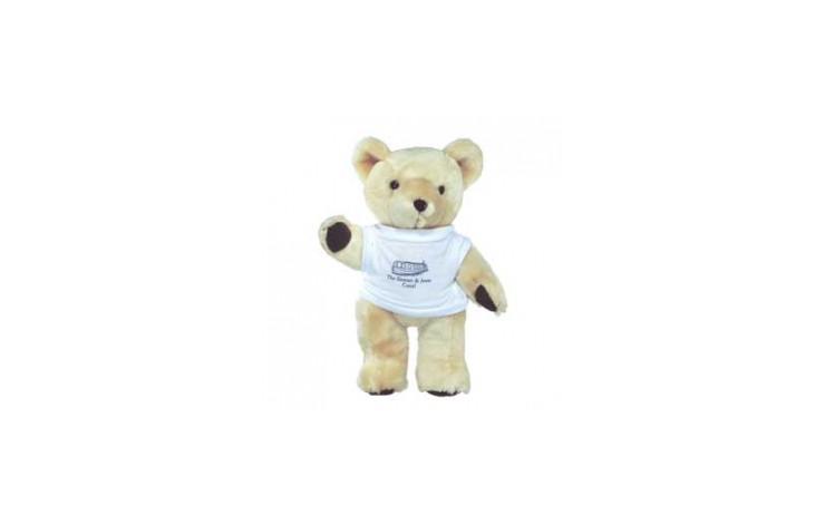 10" Honey Bear with T Shirt