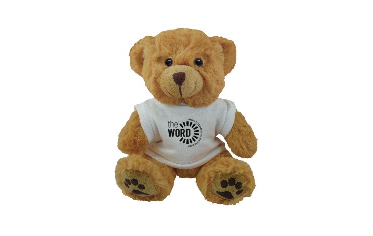 10" Dexter Bear and T Shirt