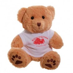 12" Dexter Bear with T Shirt