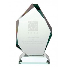 15cm Jade Elite Award